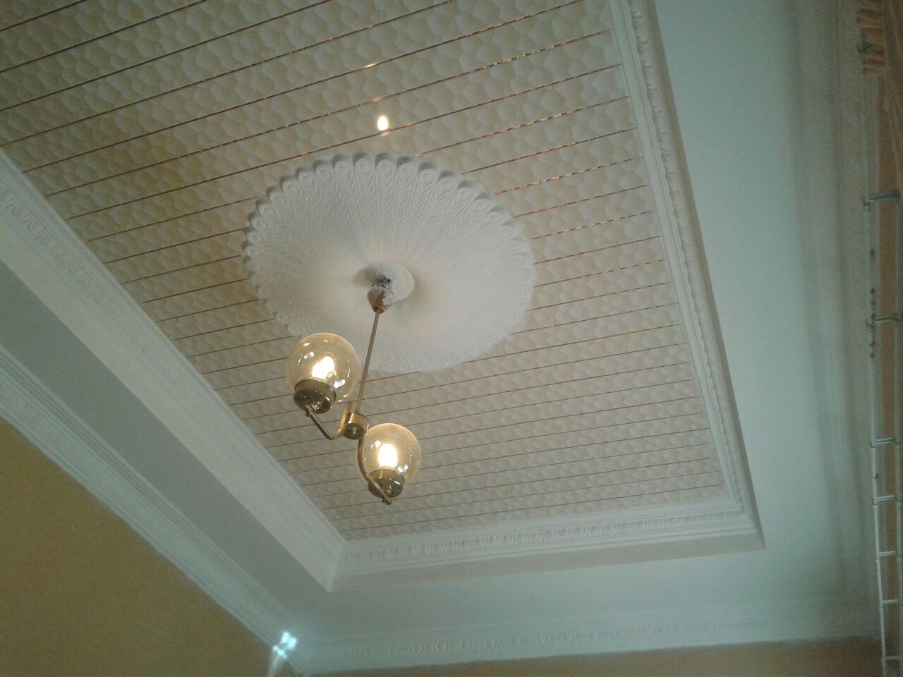 WhatsApp Image 2022-08-24 at 12.33.53 PM